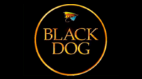 Black Dog